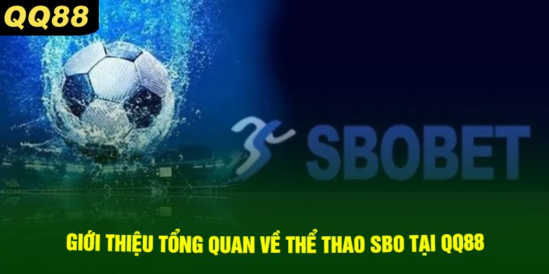 Giới thiệu tổng quan về thể thao SBO tại QQ88